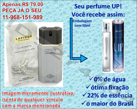 Lapidus - UP!41 (Masc)