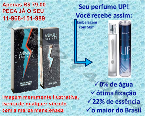 Animale - UP!43 (Masc)